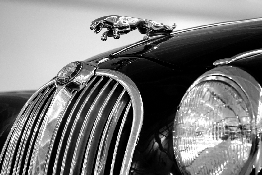 Jaguar (2)